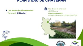 11. plan d'eau de chavenan