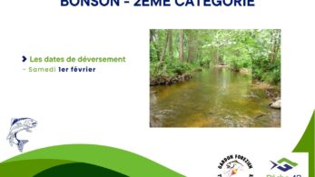 17. bonson 2ème catégorie