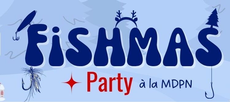 2025 11 10 banniere helloasso noel