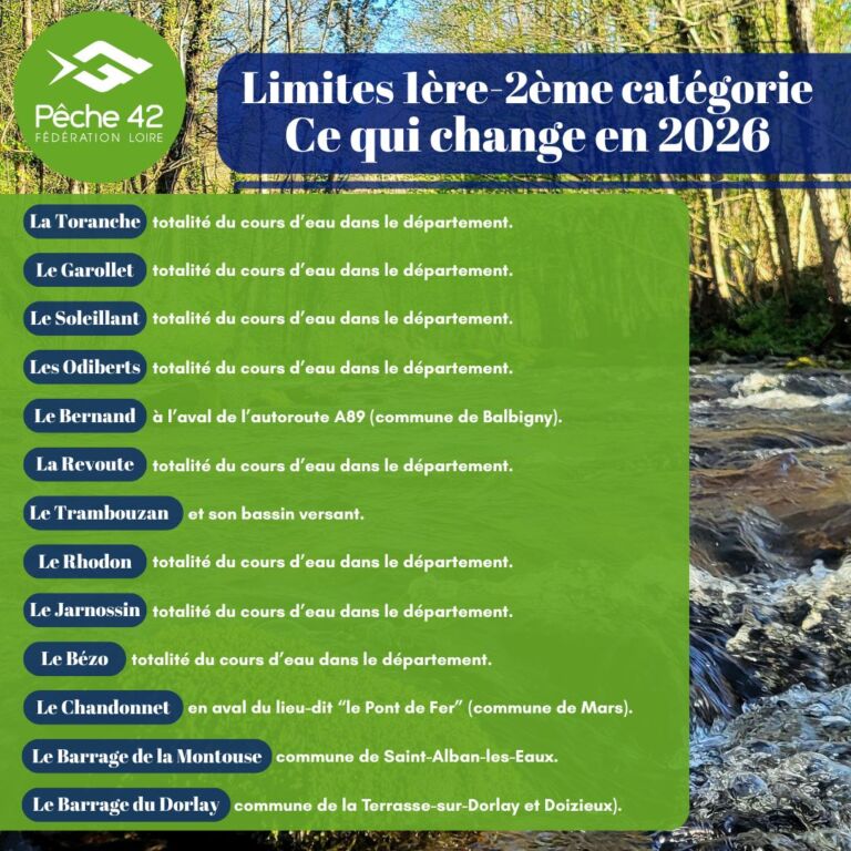 Limites 1ère/2ème catégorie : ce qui change en 2026