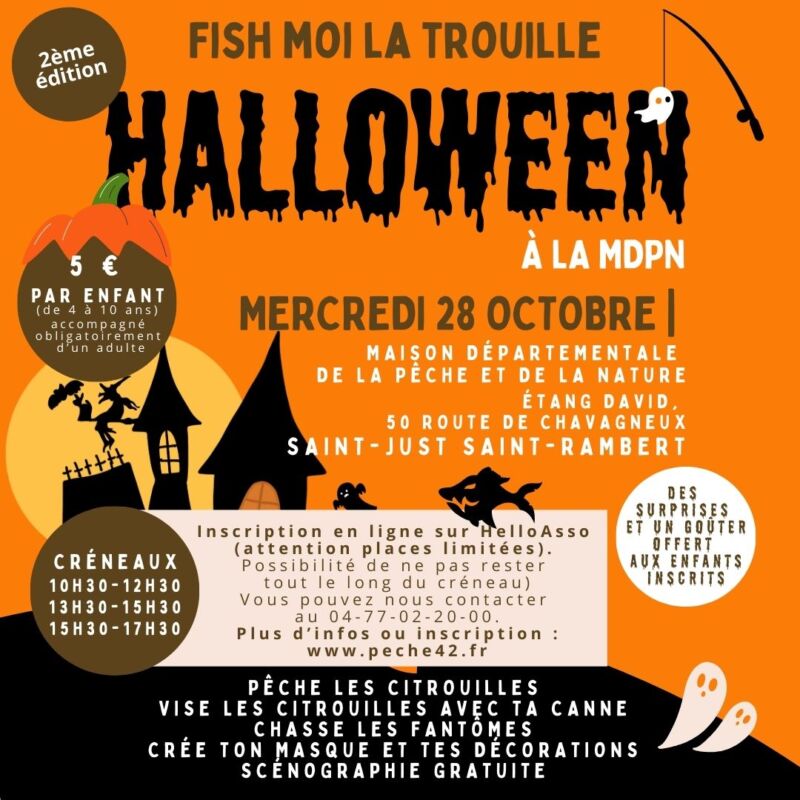 2026 02 11 halloween carre rs