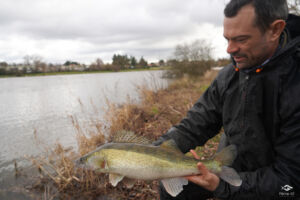 2026 02 17 viddange canal 5 siphons 30