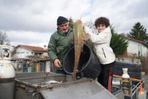 2026 02 17 viddange canal 5 siphons 51