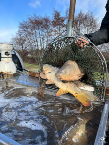 2026 02 17 viddange canal 5 siphons 71