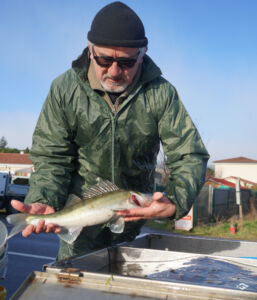 2026 02 17 viddange canal 5 siphons 8