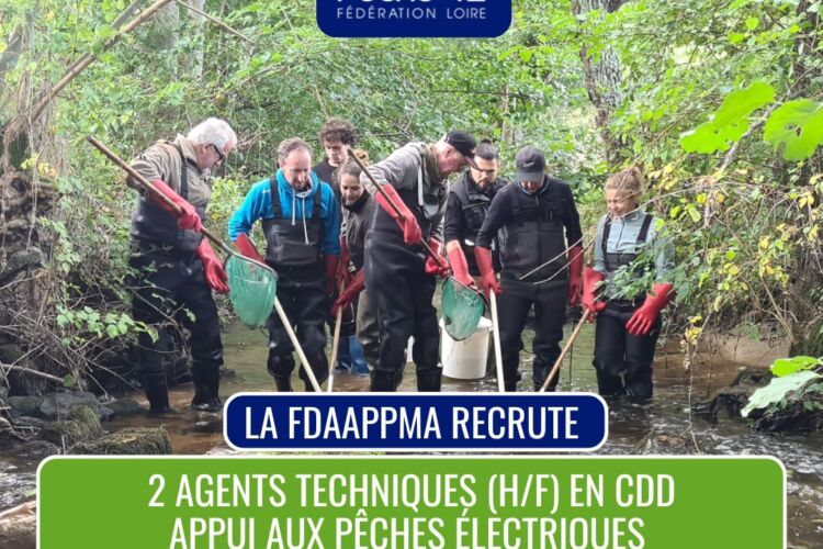 2026 05 06 recrutement ccd septembre