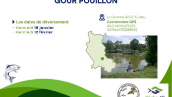 4. gour pouillon