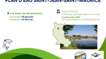 6. plan d'eau de saint jean saint maurice