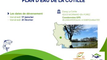 7. plan d'eau de la cotille