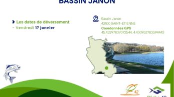 8. bassin janon