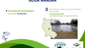 9. gour randan