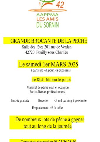 affiche brocante les amis du sornin 1er mars