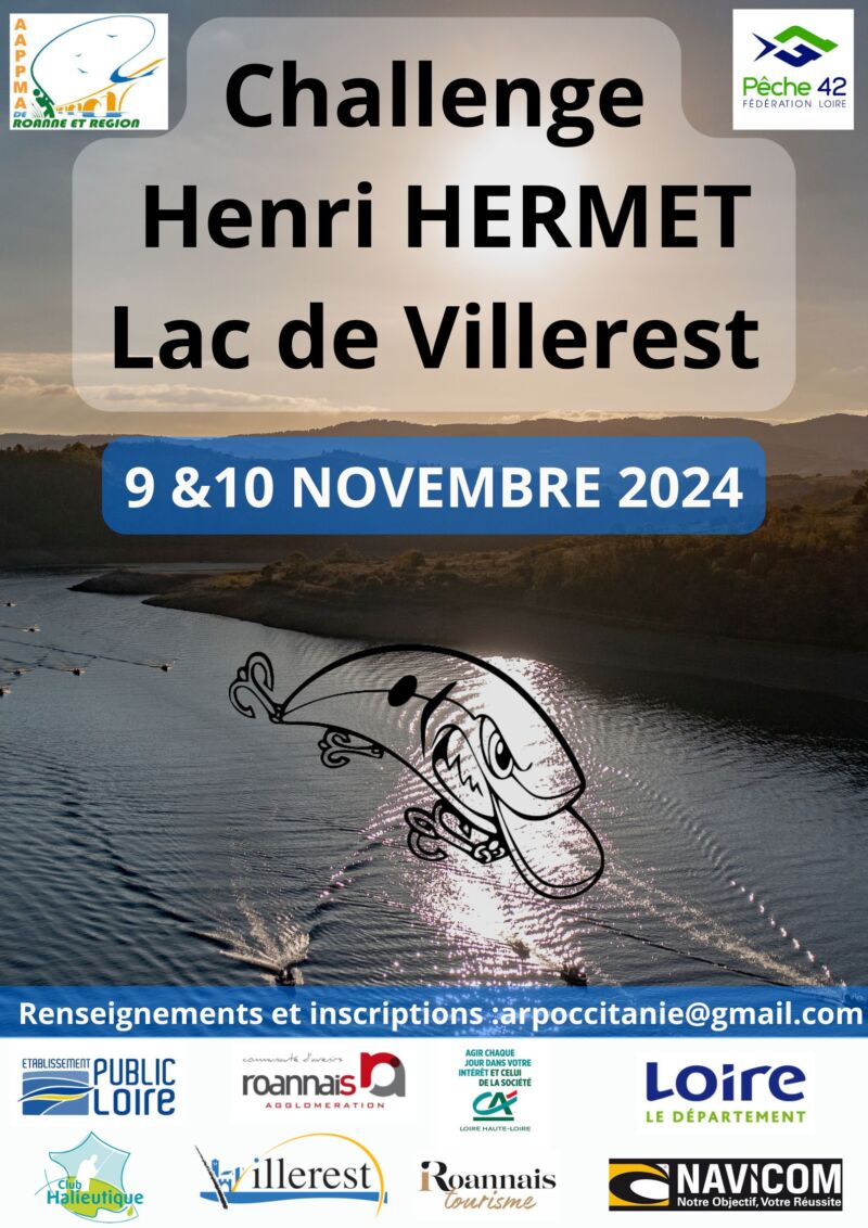 affiche challenge henri