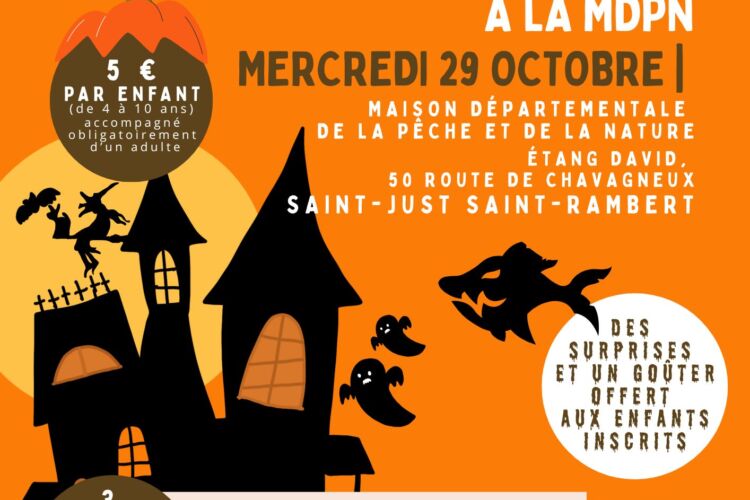 affiche halloween noir orange