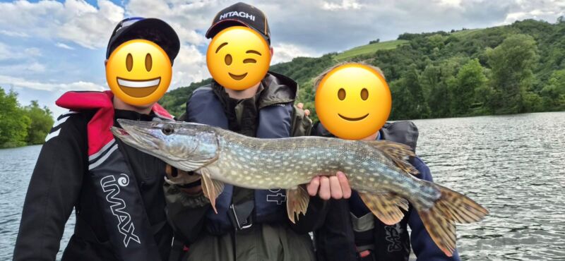 brochet