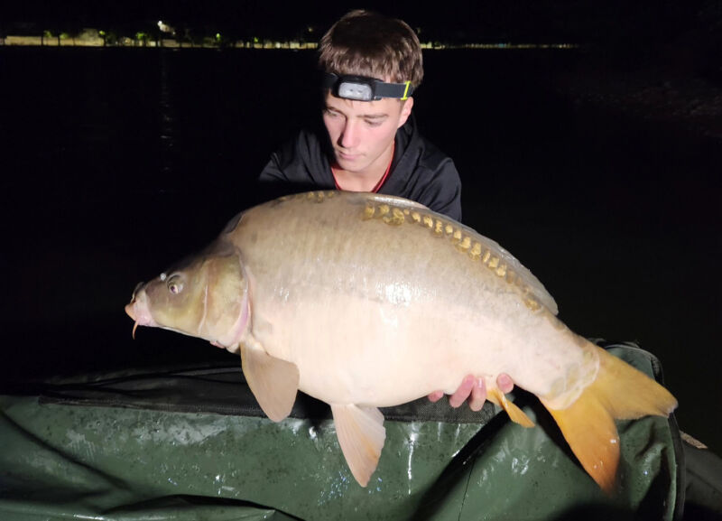 carpe de nuit 2 paysage