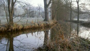 coise seuilcharentaine 180211 001 (3)