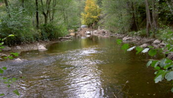 coisemlinbrule231006