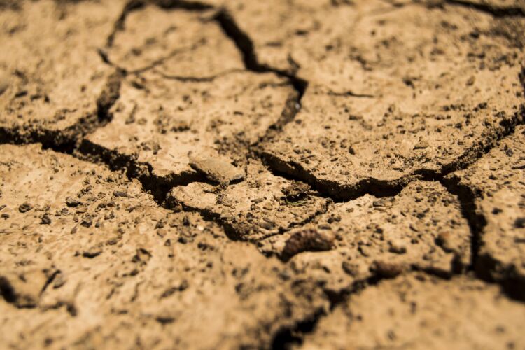 drought 780088