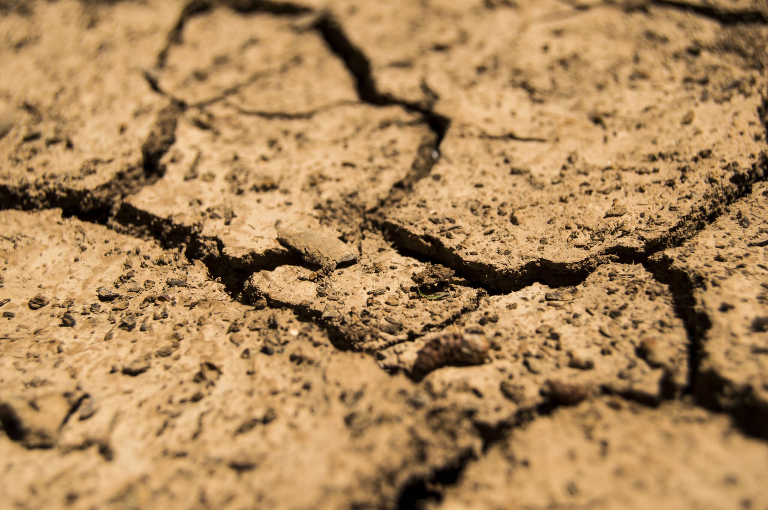drought 780088