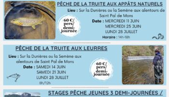 flyer animations été