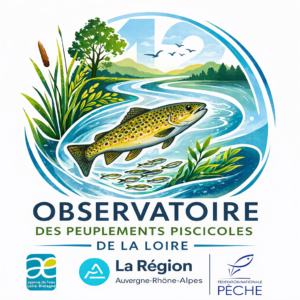 observatoire des poissons de la loire